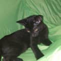 Photo of Solar