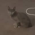 Photo of Crystal