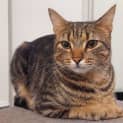 Photo of Louie 