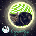 Photo of Georgie