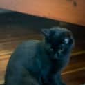 Photo of Johno