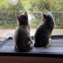 Photo of Mary Jane & Primrose