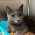 Photo of Whisper 