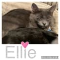 Photo of Ellie