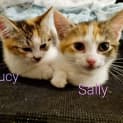 Photo of Lucy & Sally