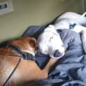 Photo of Yuki