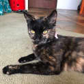 Photo of Princess