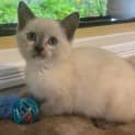 Photo of Maisey 