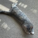 Photo of Cloudy