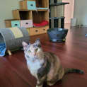 Photo of Penny