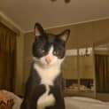 Photo of Riccardo 'Riccy'