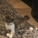 Photo of Narla