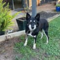 Photo of Troy