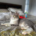 Photo of Lilly