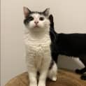 Photo of Stormy