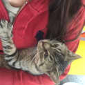 Photo of Percy