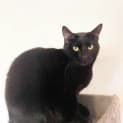 Photo of Miracle 