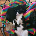Photo of Jasper