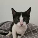 Photo of Miracle