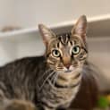 Photo of Clyde