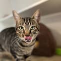 Photo of Clyde