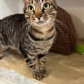 Photo of Clyde