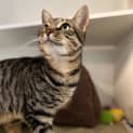 Photo of Clyde