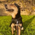 Photo of Happy