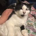 Photo of Pipsqueak
