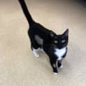 Photo of Jiji