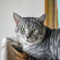 Photo of Trevor