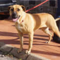 Photo of Storm