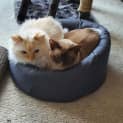 Photo of Bilbo And Ted