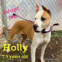 Photo of Holly