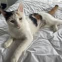 Photo of Snowy