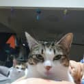 Photo of Molly