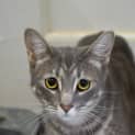 Photo of Dewey