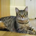 Photo of Huey