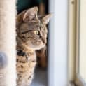 Photo of Kitty Mc Namara