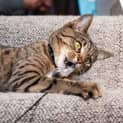 Photo of Kitty Mc Namara