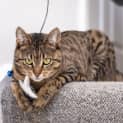 Photo of Kitty Mc Namara