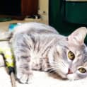 Photo of April