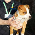 Photo of Luca