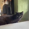 Photo of Charlotte