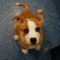 Photo of Luca