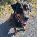Photo of Roxy