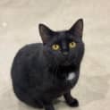 Photo of Stanley