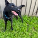 Photo of Lucy