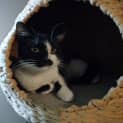 Photo of Holly