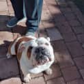 Photo of Charlie